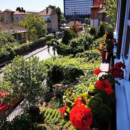 Apartament Hunter Apartman Kolozsvár Kültér fotó