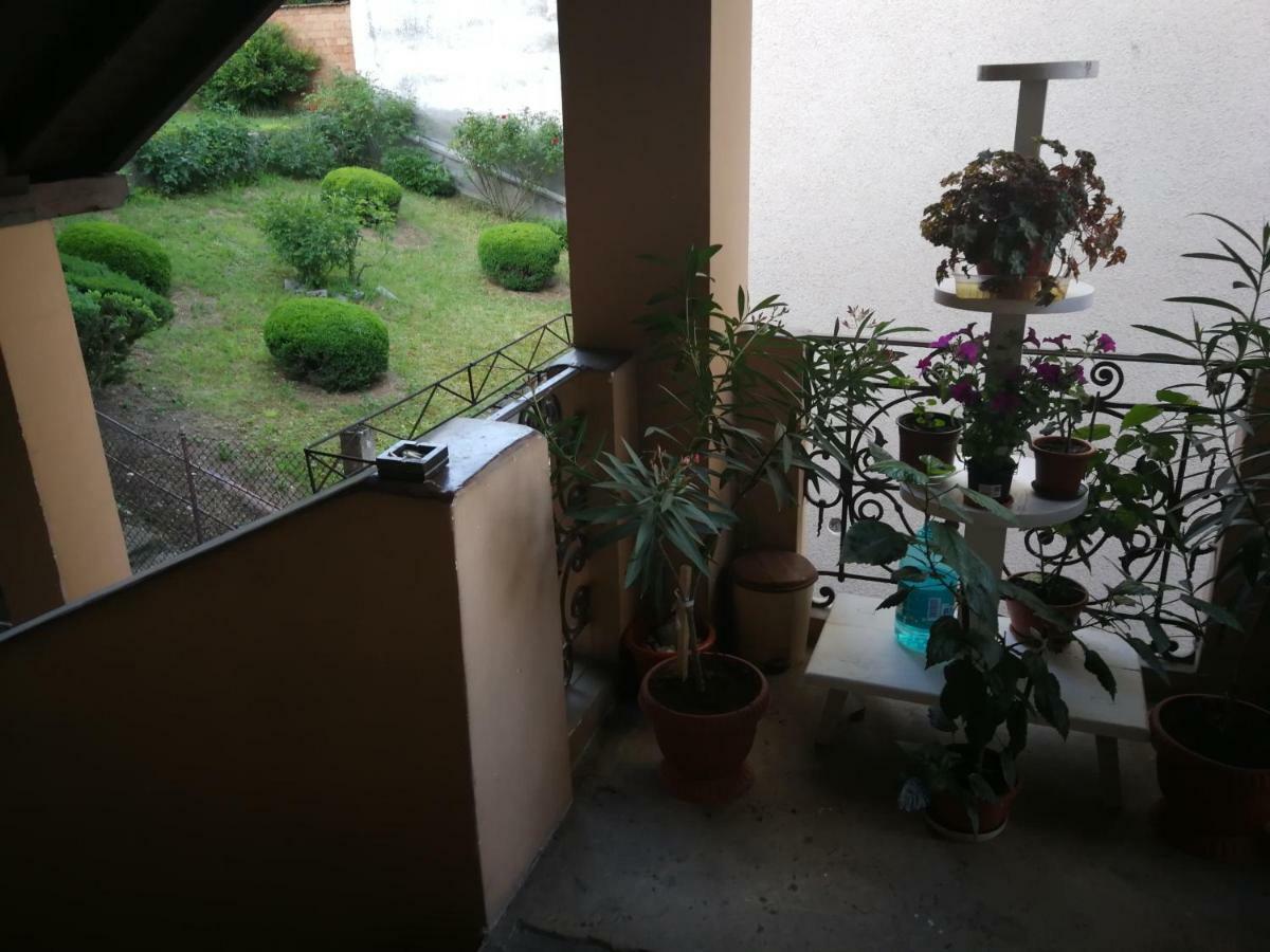 Apartament Hunter Apartman Kolozsvár Kültér fotó