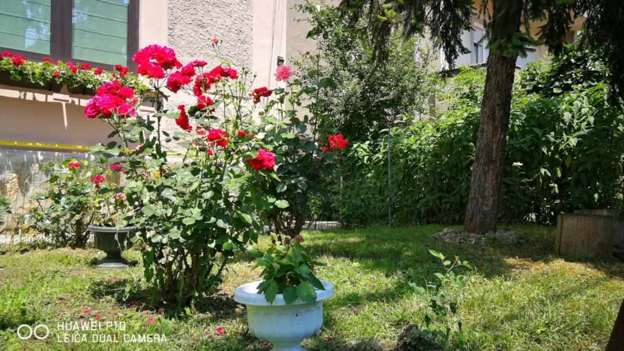 Apartament Hunter Apartman Kolozsvár Kültér fotó